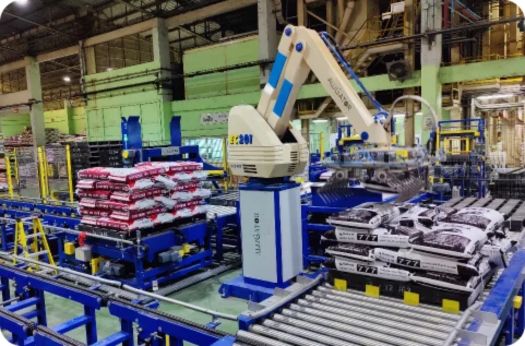 Palletizing solutions