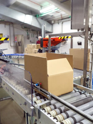 case packaging machines